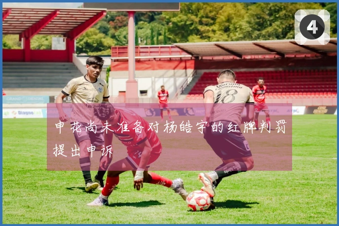 申花尚未准备对杨皓宇的红牌判罚提出申诉