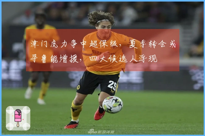 津门虎力争中超保级，夏季转会或寻鲁能增援，四大候选人浮现