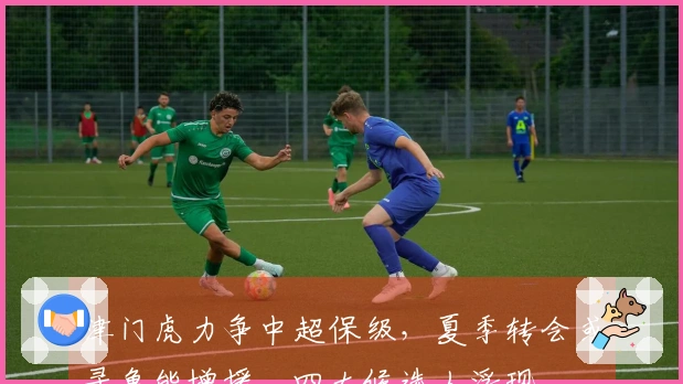 津门虎力争中超保级，夏季转会或寻鲁能增援，四大候选人浮现