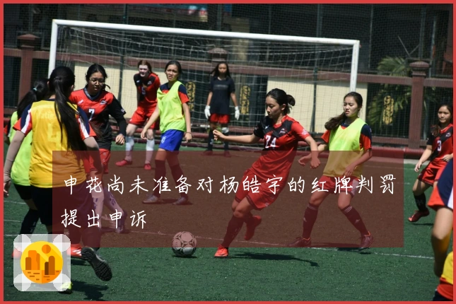 申花尚未准备对杨皓宇的红牌判罚提出申诉